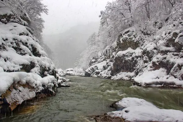 Kuzey Kafkasya 'da kış doğayı takdir etmek için harika bir zamandır..