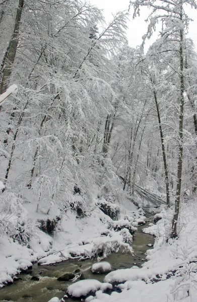 Winter Nordkaukasus Ist Eine Großartige Zeit Die Natur Bewundern — Stockfoto