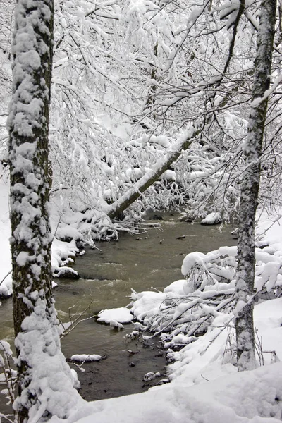 Inverno Nel Caucaso Settentrionale Grande Momento Ammirare Natura — Foto Stock