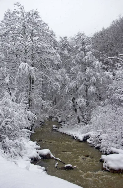Зима Северном Кавказе Прекрасное Время Полюбоваться Природой — стоковое фото