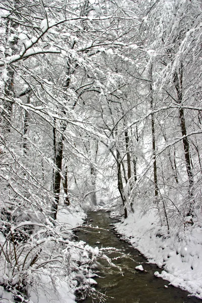 北コーカサスの冬は自然を賞賛するのに最適な時期です — ストック写真