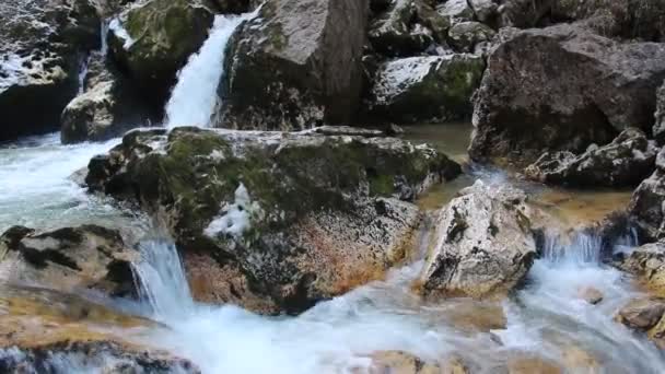 Localização República Adygea Lagonaki Highlands — Vídeo de Stock