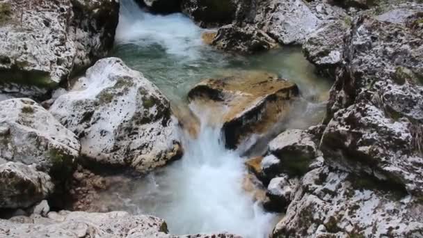 Localização República Adygea Lagonaki Highlands — Vídeo de Stock