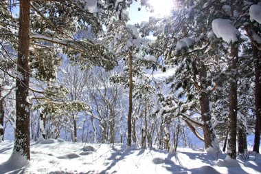 Konum - Kuzey Kafkasya, Adygea Cumhuriyeti, Lago-Nak Dağlık Bölgesi.