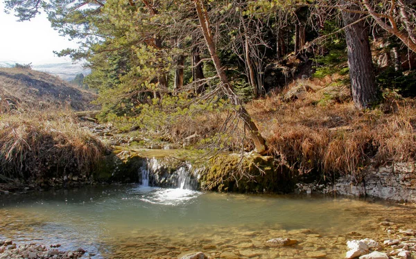 República Adygea Sigue Siendo Una Las Regiones Más Atractivas Campo —  Fotos de Stock