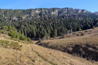 Adygea Cumhuriyeti dağ turizmi alanındaki en cazip bölgelerden biridir. Mekan Lagonaki dağlık arazisi civarında.