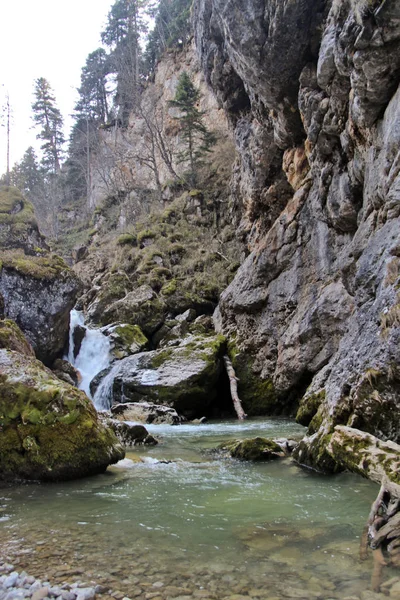 República Adygea Sigue Siendo Una Las Regiones Más Atractivas Campo —  Fotos de Stock