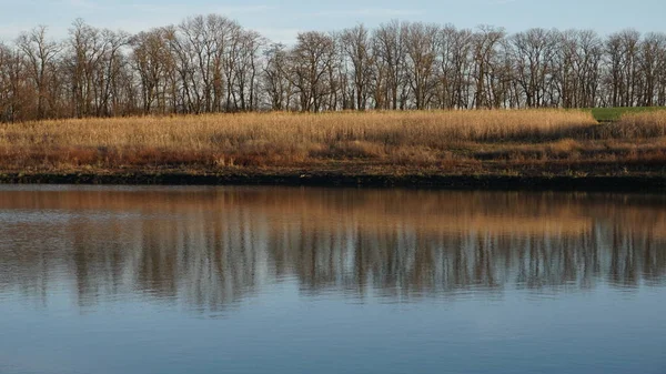 Τοποθεσία Ρωσία Περιοχή Krasnodar Zhelezny Khutor Λίμνη Έγινε Ρηχή Μετά — Φωτογραφία Αρχείου