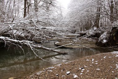 Konum - Kuzey Kafkasya, Rusya, Apsheronsky bölgesi, Rus köyü çevresi. Turizm, doğa, şelale.