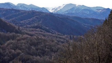 Konum: Kuzey Kafkasya, Karachay-Cthe Cumhuriyeti. Saf doğa ve dağlık arazi.