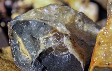 Adygea Cumhuriyeti, Kuzey Kafkasya. Dağlar ve Vahşi Yaşam.