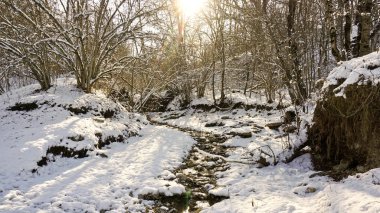 Adygea Cumhuriyeti, Kuzey Kafkasya. Dağlar ve Vahşi Yaşam.