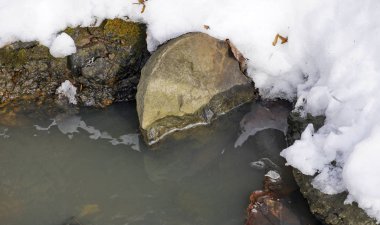 Konum - Rusya, Adigea Cumhuriyeti. Ammonite Vadisi Bölgesi. Eski Tetis Okyanusu 'ndan kalma en büyük tarihi eser yığını..