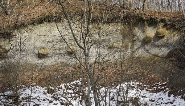 Localização Rússia República Adygea Distrito Vale Ammonite Maior Acúmulo Artefatos — Fotografia de Stock