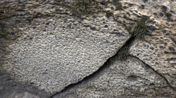 Umístění Rusko Adygeská Republika Okres Údolí Ammonite Největší Hromadění Artefaktů — Stock fotografie