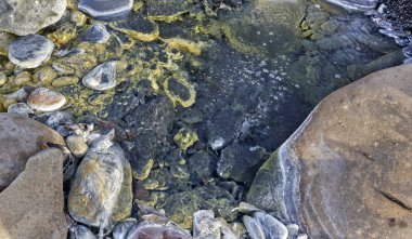 Bölge - Adigea Cumhuriyeti. Doğal hidroklorik doğal kaynaklar