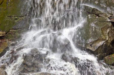 Bu bölge Adigea Cumhuriyeti 'dir, Kutanka Nehri civarındadır. Kış. Doğanın şaşırtıcı yerlerine doğru yürüyoruz..