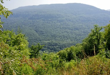 Yeri Rusya, Absheron bölgesi, Mezmay köyü. Kafkasya 'da turizm ve doğa.