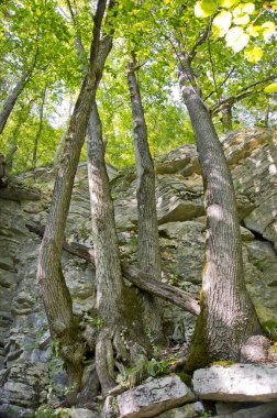 Yeri Rusya, Absheron bölgesi, Mezmay köyü. Kafkasya 'da turizm ve doğa.