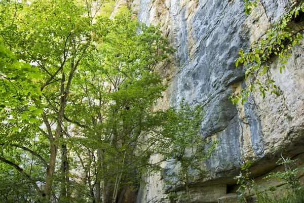 Ubicación Rusia Distrito Absheron Pueblo Mezmay Turismo Naturaleza Cáucaso — Foto de Stock