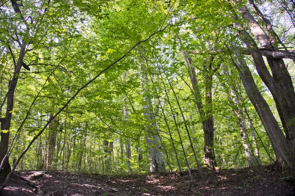 Lage Russland Scherbenbezirk Das Dorf Mezmay Tourismus Und Natur Kaukasus — Stockfoto