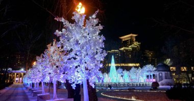 Konum Rusya, Moskova, Sokolniki Parkı. Kış. Rus başkentinin güzel yerleri. Yürüyüş yolları.