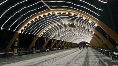 Konum Rusya, Moskova, Sokolniki Parkı. Kış. Rus başkentinin güzel yerleri. Yürüyüş yolları.