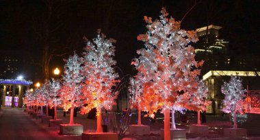 Konum Rusya, Moskova, Sokolniki Parkı. Kış. Rus başkentinin güzel yerleri. Yürüyüş yolları.