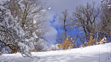 Konum-Kuzey Kafkasya, Adygea Cumhuriyeti, Dakhovskaya köyünün alanı. Yılın her zamanında yürüyüş yapmak için harika bir yer. Dağlar, orman ve güneş.