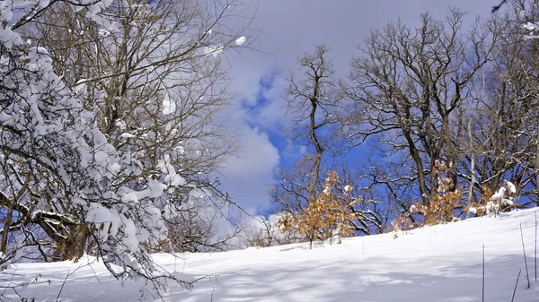 Konum Kuzey Kafkasya Adygea Cumhuriyeti Dakhovskaya Köyünün Alanı Yılın Her — Stok fotoğraf