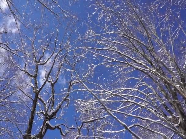 Ubicación Cáucaso Norte República Adygea Área Aldea Dakhovskaya Lugar Increíble — Vídeo de stock