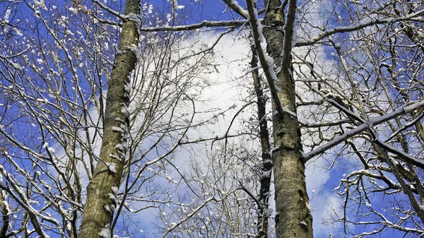 Localização Cáucaso Norte República Adygea Área Aldeia Dakhovskaya Lugar Incrível — Fotografia de Stock