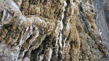 Konum-Kuzey Kafkasya, Adygea Cumhuriyeti, Dakhovskaya köyünün alanı. Yılın her zamanında yürüyüş yapmak için harika bir yer. Dağlar, orman ve güneş.