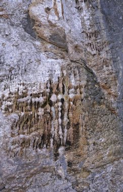 Konum-Kuzey Kafkasya, Adygea Cumhuriyeti, Dakhovskaya köyünün alanı. Yılın her zamanında yürüyüş yapmak için harika bir yer. Dağlar, orman ve güneş.