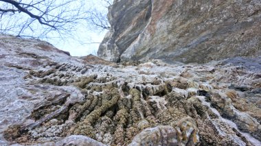 Konum-Kuzey Kafkasya, Adygea Cumhuriyeti, Dakhovskaya köyünün alanı. Yılın her zamanında yürüyüş yapmak için harika bir yer. Dağlar, orman ve güneş.