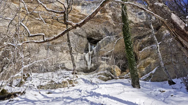 Emplacement Caucase Nord République Adygea Région Village Dakhovskaya Endroit Incroyable — Photo