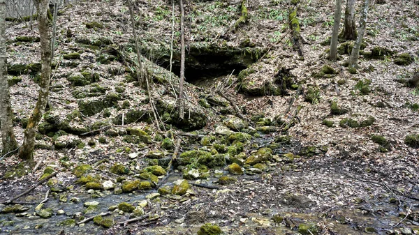 Localização República Adygea Área Aldeia Novosvobodnaya Tsarskaya Caminhadas Montanha Dia — Fotografia de Stock