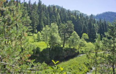 Yer Adigea Cumhuriyeti 'dir. Lago-Naksky Highlands bölgesi. Yürüyüş için inanılmaz güzel yerler..