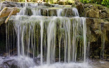 Yer Adigea Cumhuriyeti 'dir. Lago-Naksky Highlands bölgesi. Yürüyüş için inanılmaz güzel yerler..