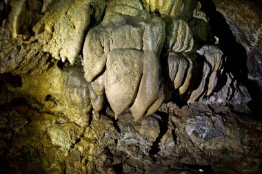 Yer Adigea Cumhuriyeti 'dir. Lago-Naksky Highlands bölgesi. Yürüyüş için inanılmaz güzel yerler..