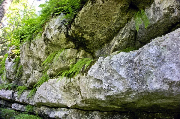 Locația Este Republica Adygea Zona Lago Naksky Highlands Locuri Uimitoare — Fotografie, imagine de stoc