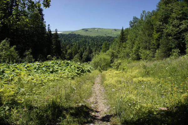 Helyszín Adygea Köztársaság Lago Naksky Hegység Területe Elképesztően Szép Hely — Stock Fotó