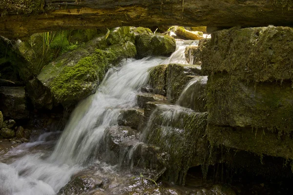 Helyszín Adygea Köztársaság Lago Naksky Hegység Területe Elképesztően Szép Hely — Stock Fotó