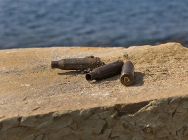 Konum-Rusya, Cape Small Utrish bölgesi. Askeri tatbikatların yapıldığı yer.