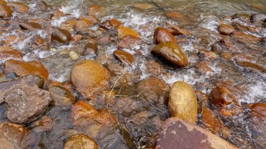Kuzey Kafkasya cumhuriyetleri dağların ve vahşi yaşamın güzelliğiyle ünlüdür. Büyük Laba Nehri.
