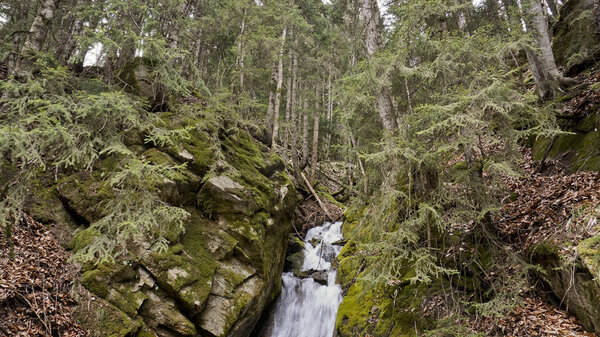 The republics of the North Caucasus are famous for the beauty of mountains and wildlife. Small and large waterfalls occupy a separate place in their row.