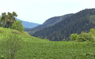 Adigea Cumhuriyeti konumu. Tetis 'in antik okyanusunu bulmak. İnanılmaz güzel dağlık alanlar, yürüyüş için ulaşılabilir..