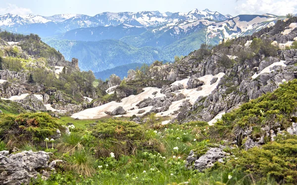 Helyszín Adygea Köztársaság Megtalálni Tethys Ősi Óceánját Elképesztően Szép Felföld — Stock Fotó