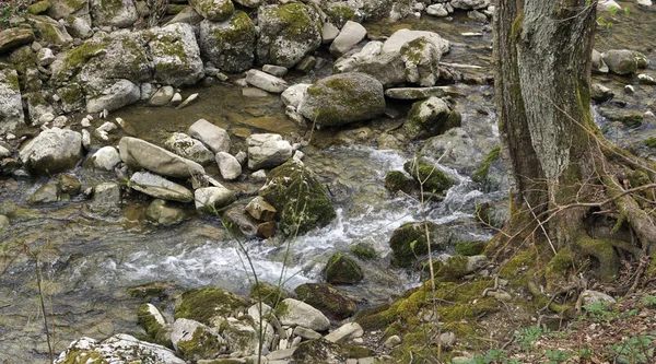 Localização Rússia Território Krasnodar Cachoeiras Rio Ayuk Bela Natureza Para — Fotografia de Stock