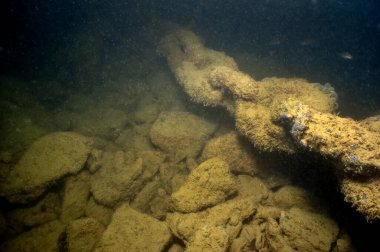 Konum Rusya, Taman Yarımadası, Kerch Boğazı 'nın sualtı suları. Sualtı arkeolojisi..